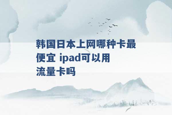 韩国日本上网哪种卡最便宜 ipad可以用流量卡吗 -第1张图片-电信联通移动号卡网