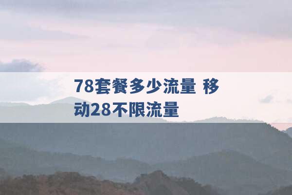 78套餐多少流量 移动28不限流量 -第1张图片-电信联通移动号卡网