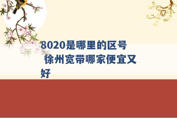 8020是哪里的区号 徐州宽带哪家便宜又好 -第1张图片-电信联通移动号卡网