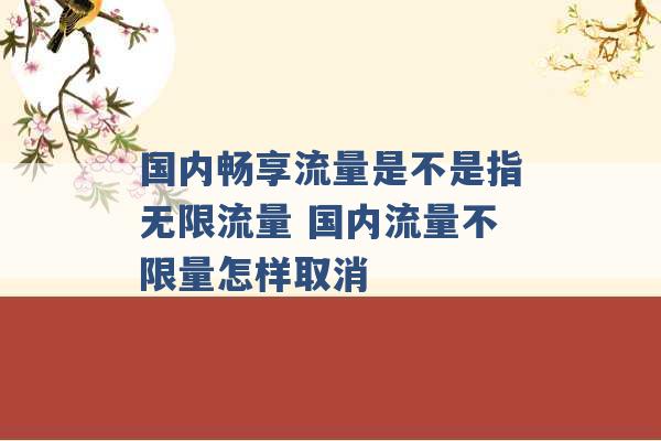 国内畅享流量是不是指无限流量 国内流量不限量怎样取消 -第1张图片-电信联通移动号卡网