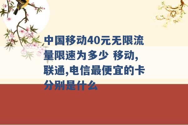 中国移动40元无限流量限速为多少 移动,联通,电信最便宜的卡分别是什么 -第1张图片-电信联通移动号卡网