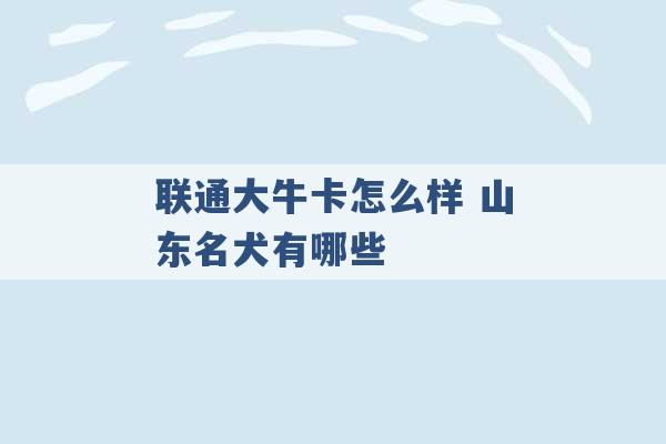 联通大牛卡怎么样 山东名犬有哪些 -第1张图片-电信联通移动号卡网