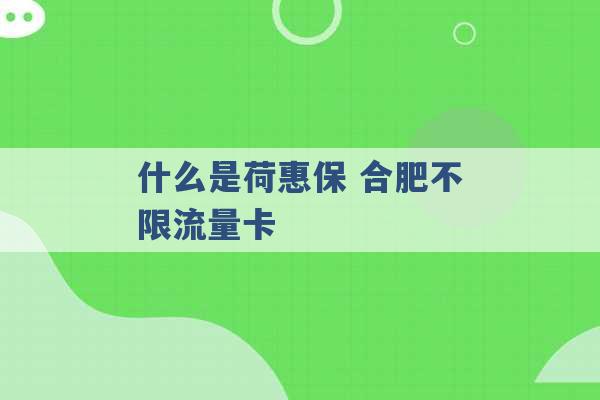 什么是荷惠保 合肥不限流量卡 -第1张图片-电信联通移动号卡网