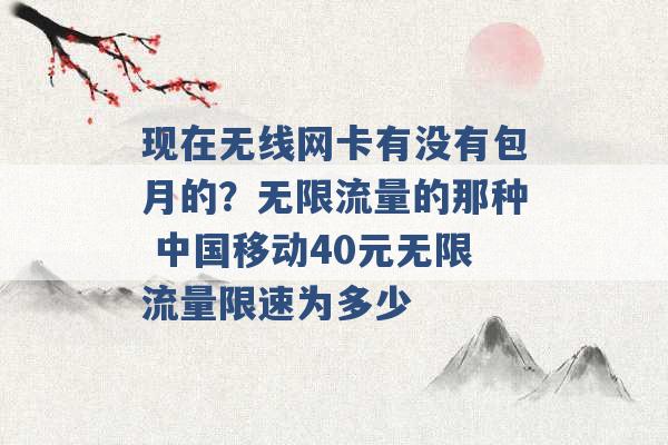 现在无线网卡有没有包月的？无限流量的那种 中国移动40元无限流量限速为多少 -第1张图片-电信联通移动号卡网