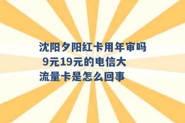 沈阳夕阳红卡用年审吗 9元19元的电信大流量卡是怎么回事 -第1张图片-电信联通移动号卡网