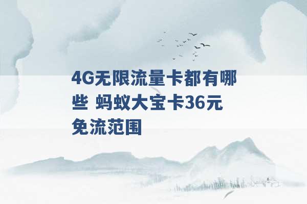 4G无限流量卡都有哪些 蚂蚁大宝卡36元免流范围 -第1张图片-电信联通移动号卡网