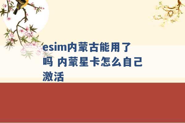 esim内蒙古能用了吗 内蒙星卡怎么自己激活 -第1张图片-电信联通移动号卡网