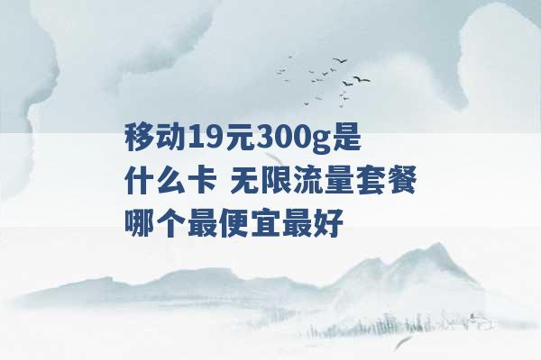 移动19元300g是什么卡 无限流量套餐哪个最便宜最好 -第1张图片-电信联通移动号卡网