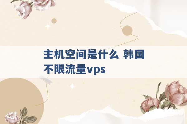 主机空间是什么 韩国不限流量vps -第1张图片-电信联通移动号卡网