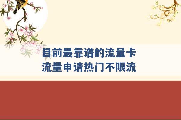 目前最靠谱的流量卡 流量申请热门不限流 -第1张图片-电信联通移动号卡网