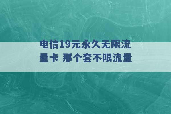 电信19元永久无限流量卡 那个套不限流量 -第1张图片-电信联通移动号卡网