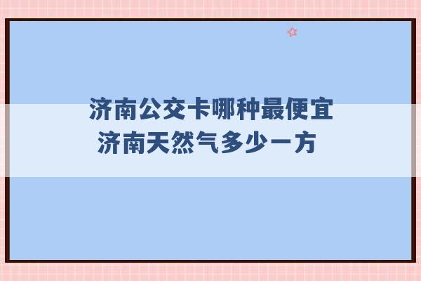 济南公交卡哪种最便宜 济南天然气多少一方 -第1张图片-电信联通移动号卡网