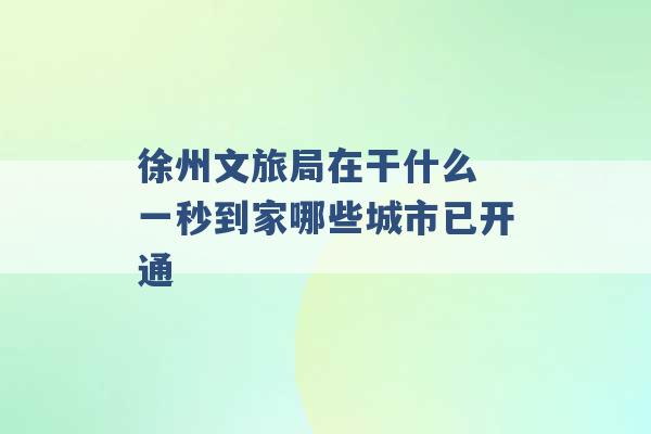 徐州文旅局在干什么 一秒到家哪些城市已开通 -第1张图片-电信联通移动号卡网