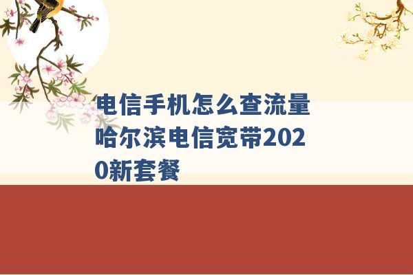 电信手机怎么查流量 哈尔滨电信宽带2020新套餐 -第1张图片-电信联通移动号卡网