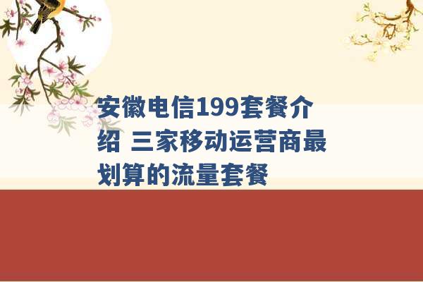 安徽电信199套餐介绍 三家移动运营商最划算的流量套餐 -第1张图片-电信联通移动号卡网