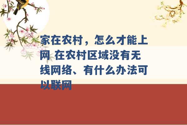 家在农村，怎么才能上网 在农村区域没有无线网络、有什么办法可以联网 -第1张图片-电信联通移动号卡网