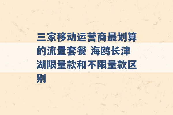 三家移动运营商最划算的流量套餐 海鸥长津湖限量款和不限量款区别 -第1张图片-电信联通移动号卡网