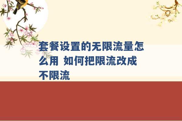 套餐设置的无限流量怎么用 如何把限流改成不限流 -第1张图片-电信联通移动号卡网