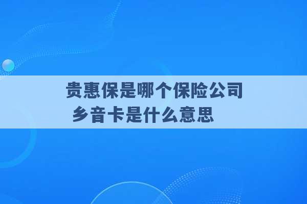 贵惠保是哪个保险公司 乡音卡是什么意思 -第1张图片-电信联通移动号卡网