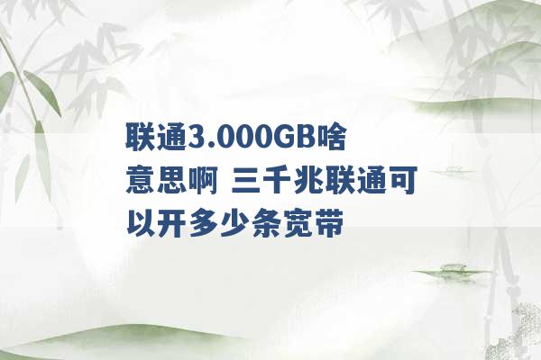 联通3.000GB啥意思啊 三千兆联通可以开多少条宽带 -第1张图片-电信联通移动号卡网