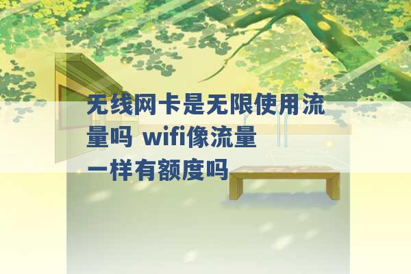 无线网卡是无限使用流量吗 wifi像流量一样有额度吗 -第1张图片-电信联通移动号卡网