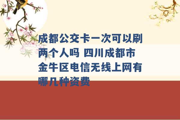 成都公交卡一次可以刷两个人吗 四川成都市金牛区电信无线上网有哪几种资费 -第1张图片-电信联通移动号卡网