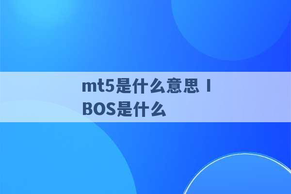 mt5是什么意思 IBOS是什么 -第1张图片-电信联通移动号卡网