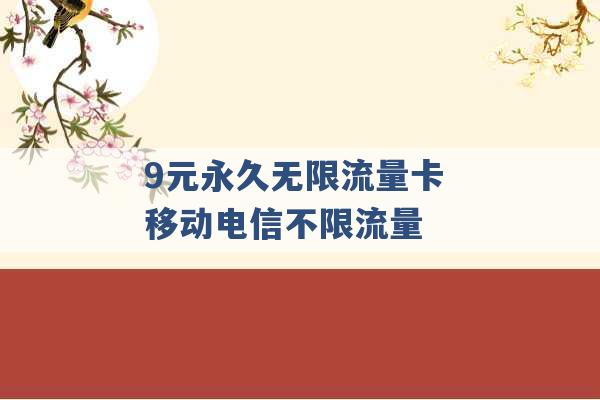 9元永久无限流量卡 移动电信不限流量 -第1张图片-电信联通移动号卡网