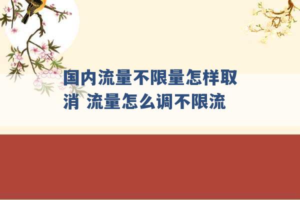 国内流量不限量怎样取消 流量怎么调不限流 -第1张图片-电信联通移动号卡网