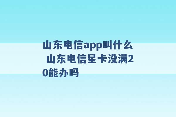 山东电信app叫什么 山东电信星卡没满20能办吗 -第1张图片-电信联通移动号卡网