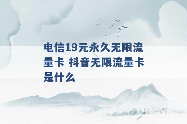 电信19元永久无限流量卡 抖音无限流量卡是什么 -第1张图片-电信联通移动号卡网