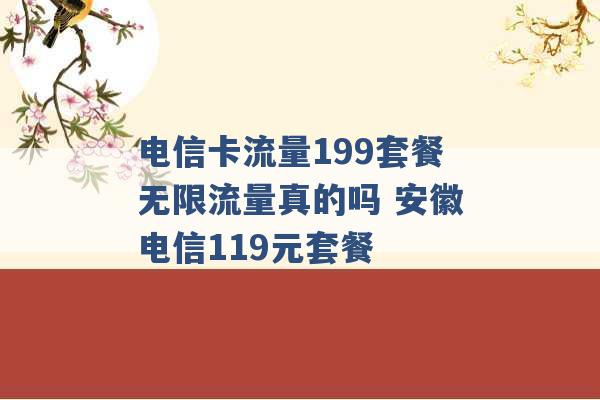 电信卡流量199套餐无限流量真的吗 安徽电信119元套餐 -第1张图片-电信联通移动号卡网