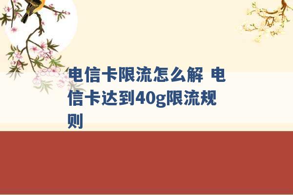 电信卡限流怎么解 电信卡达到40g限流规则 -第1张图片-电信联通移动号卡网