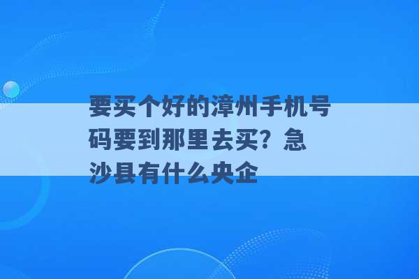 要买个好的漳州手机号码要到那里去买？急 沙县有什么央企 -第1张图片-电信联通移动号卡网