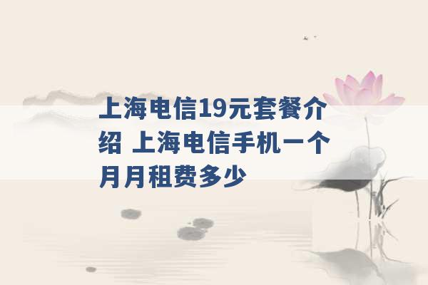 上海电信19元套餐介绍 上海电信手机一个月月租费多少 -第1张图片-电信联通移动号卡网