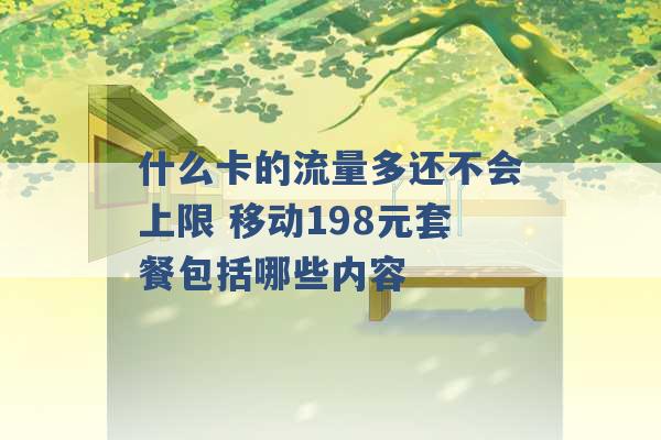 什么卡的流量多还不会上限 移动198元套餐包括哪些内容 -第1张图片-电信联通移动号卡网