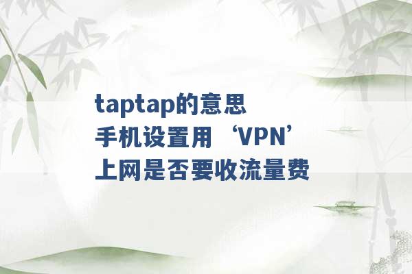 taptap的意思 手机设置用‘VPN’上网是否要收流量费 -第1张图片-电信联通移动号卡网