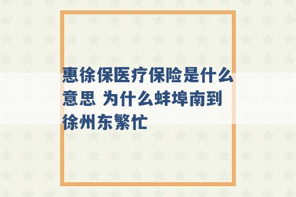 惠徐保医疗保险是什么意思 为什么蚌埠南到徐州东繁忙 -第1张图片-电信联通移动号卡网