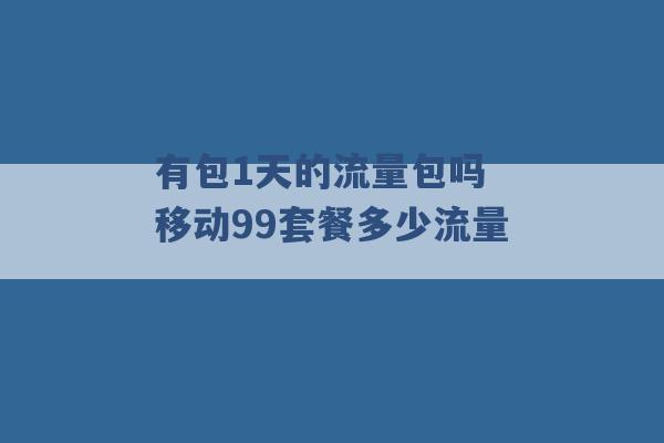 有包1天的流量包吗 移动99套餐多少流量 -第1张图片-电信联通移动号卡网