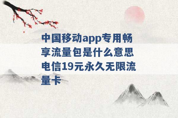 中国移动app专用畅享流量包是什么意思 电信19元永久无限流量卡 -第1张图片-电信联通移动号卡网