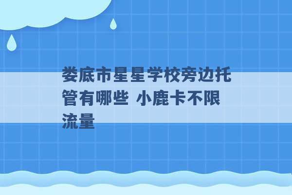 娄底市星星学校旁边托管有哪些 小鹿卡不限流量 -第1张图片-电信联通移动号卡网