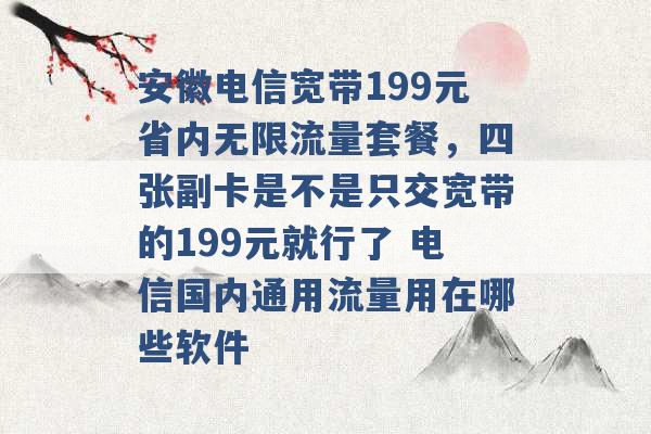 安徽电信宽带199元省内无限流量套餐，四张副卡是不是只交宽带的199元就行了 电信国内通用流量用在哪些软件 -第1张图片-电信联通移动号卡网