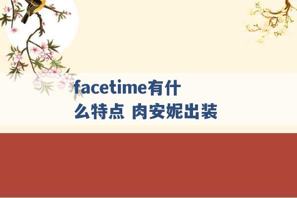 facetime有什么特点 肉安妮出装 -第1张图片-电信联通移动号卡网