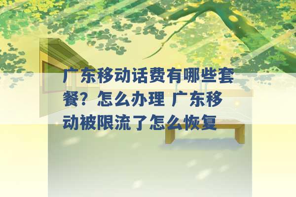 广东移动话费有哪些套餐？怎么办理 广东移动被限流了怎么恢复 -第1张图片-电信联通移动号卡网