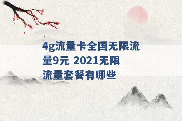 4g流量卡全国无限流量9元 2021无限流量套餐有哪些 -第1张图片-电信联通移动号卡网