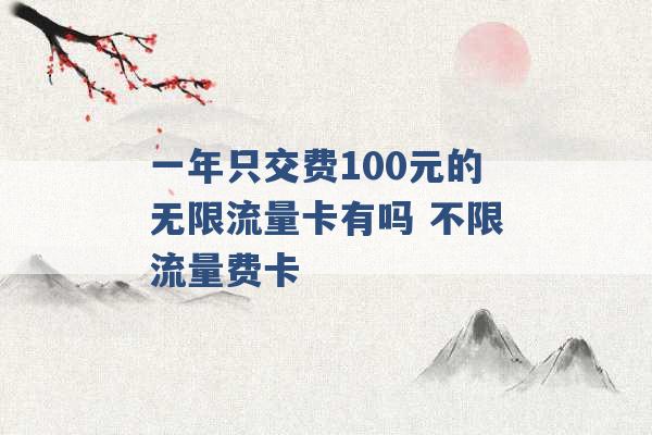 一年只交费100元的无限流量卡有吗 不限流量费卡 -第1张图片-电信联通移动号卡网