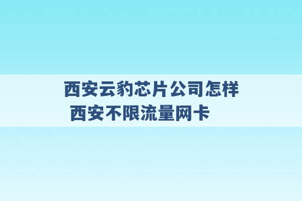 西安云豹芯片公司怎样 西安不限流量网卡 -第1张图片-电信联通移动号卡网