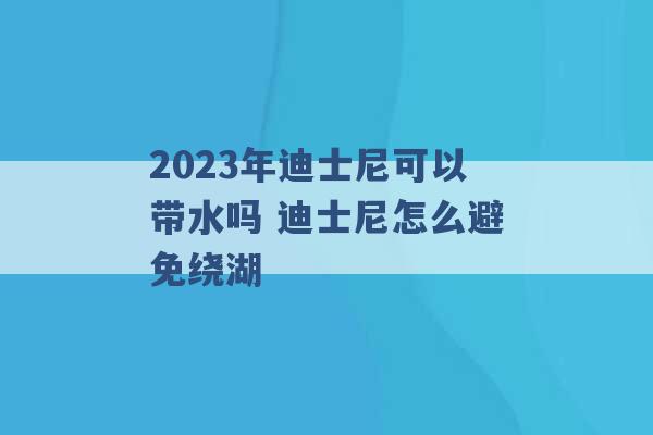 2023年迪士尼可以带水吗 迪士尼怎么避免绕湖 -第1张图片-电信联通移动号卡网