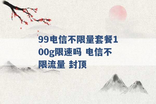 99电信不限量套餐100g限速吗 电信不限流量 封顶 -第1张图片-电信联通移动号卡网