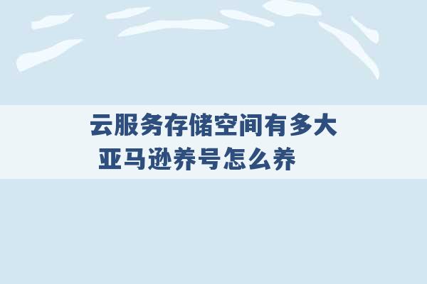 云服务存储空间有多大 亚马逊养号怎么养 -第1张图片-电信联通移动号卡网